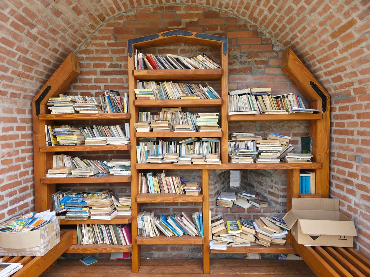 Organized yet cozy book nook with wooden shelves against a rustic brick wall.