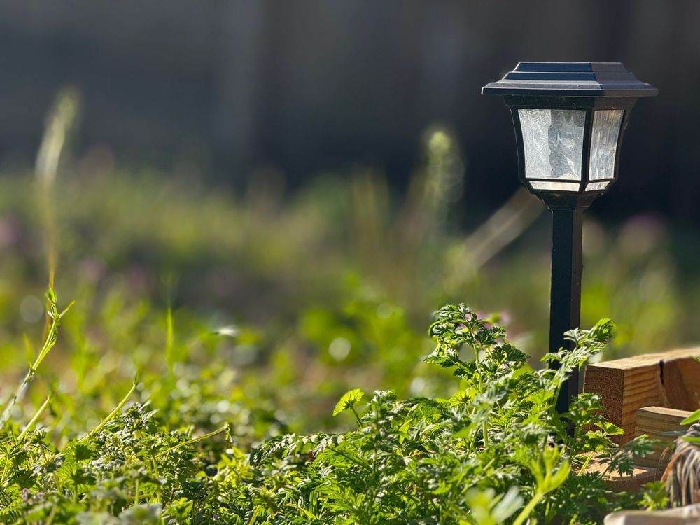 A solar garden lamp amidst lush greenery in a Texas garden during spring.