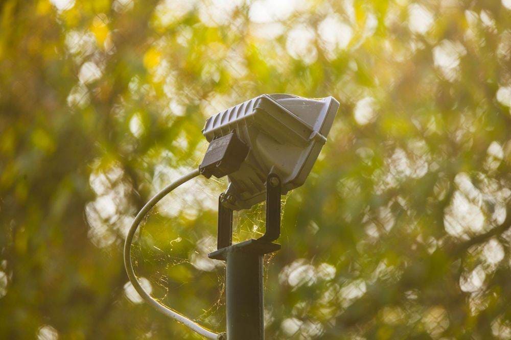Close-up of an outdoor spotlight surrounded by blurred autumn leaves, highlighting textures and natural light.