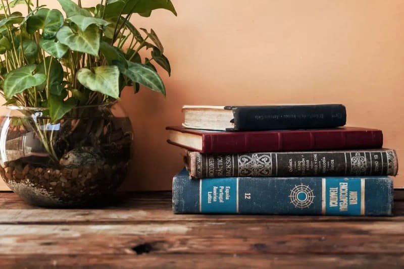 A stack of vintage hardcover books beside a potted plant on a rustic wooden table.