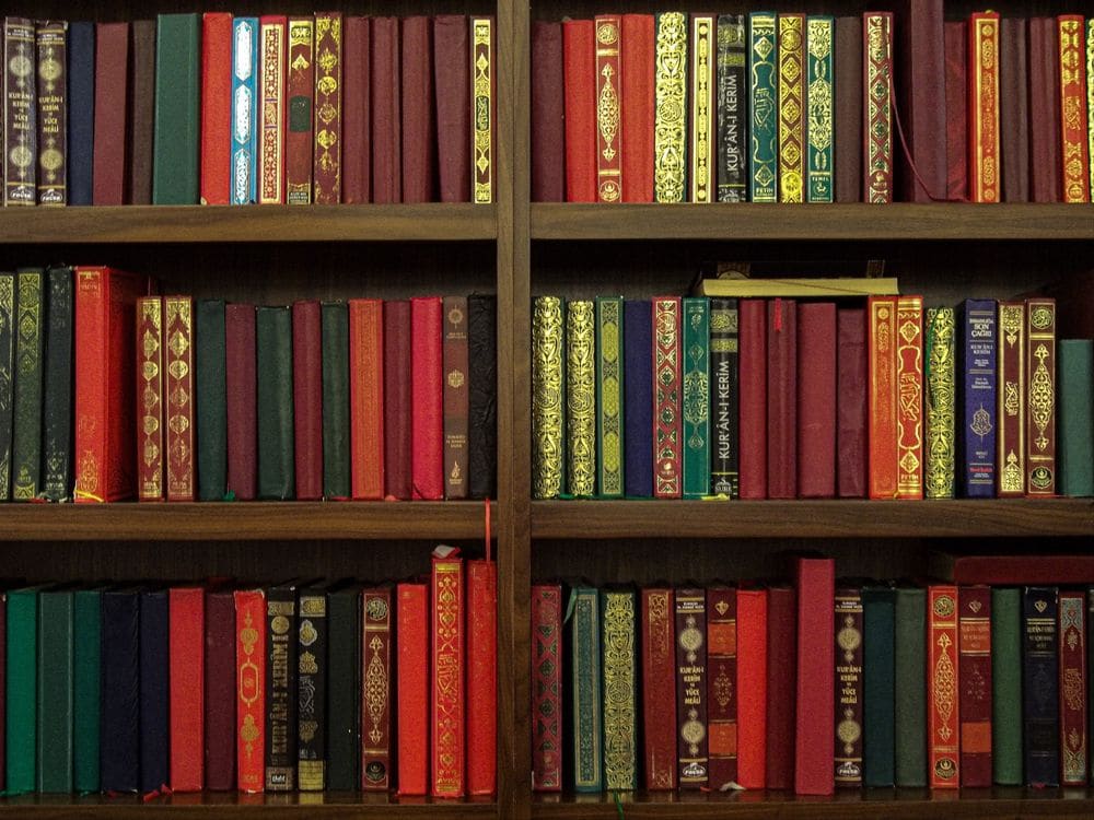 A bookshelf filled with colorful and ornate books, showcasing rich diversity and elegance.