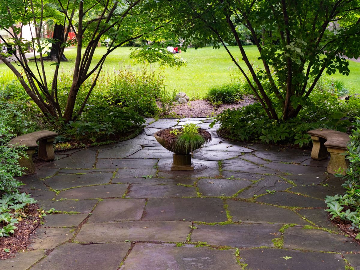 Peaceful stone patio surrounded by greenery and a central plant.