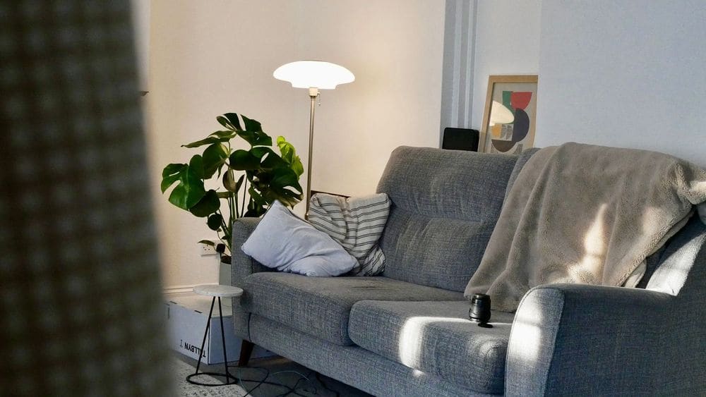 A cozy living room featuring a grey sofa, floor lamp, and indoor plant bathed in morning sun.